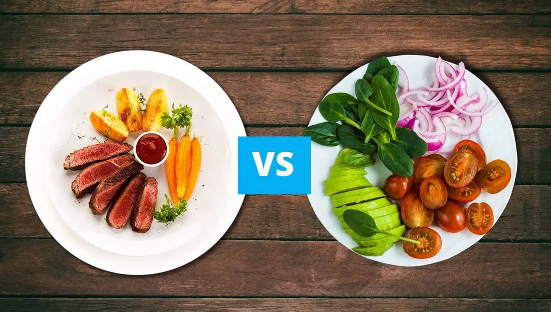 Plant Based vs. High Protein Diets: What’s Right for You?